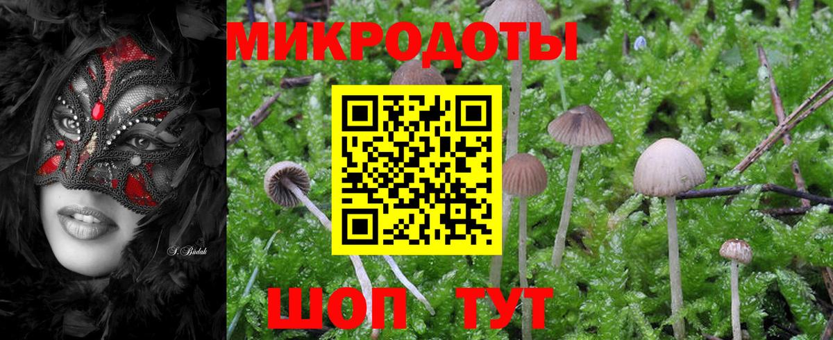 Галлюциногенные грибы прущие грибы  Псилоцибиновые грибы Psilocybine cubensis  Вход с VPN  Бузулук 
