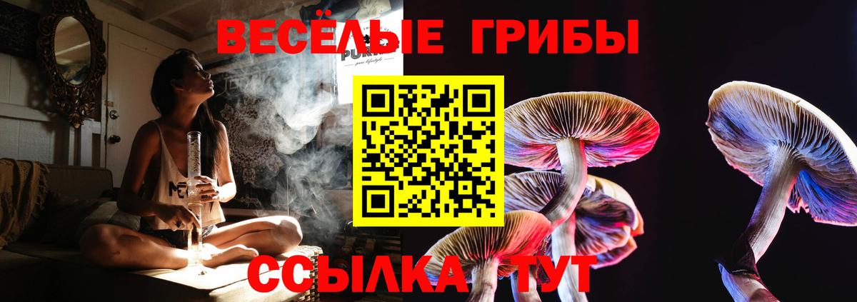 Псилоцибиновые грибы Cubensis Бузулук